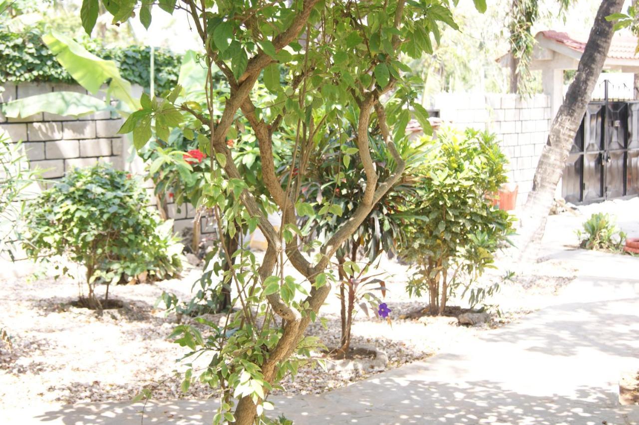 Luciano & Grace Apartments Watamu Exteriör bild