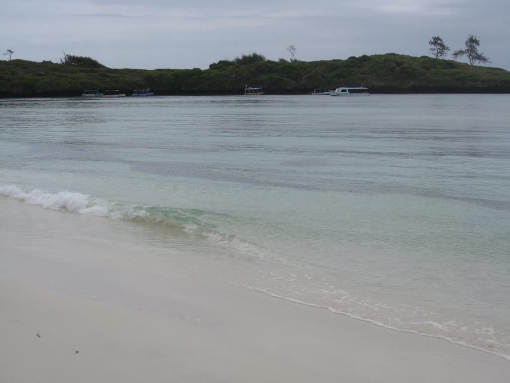 Luciano & Grace Apartments Watamu Exteriör bild